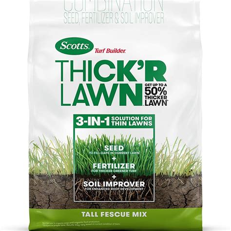 Best Tall Fescue Seed for Your Lawn 2021 (Ratings and Reviews) - American Lawns | Lawn Tips and ...