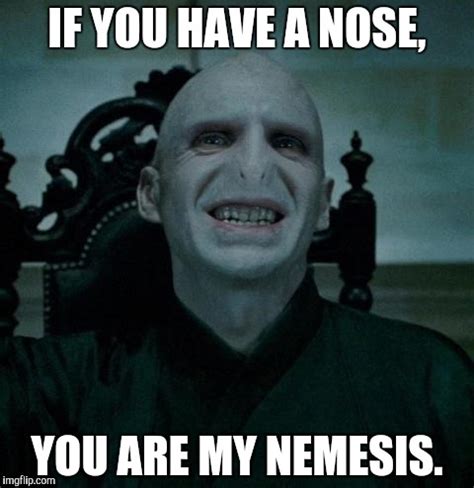 Image tagged in voldemort smiling - Imgflip