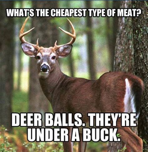 Pin by ღ Nancy Malott ღ on Quotes | Deer hunting humor, Funny deer, Hunting humor