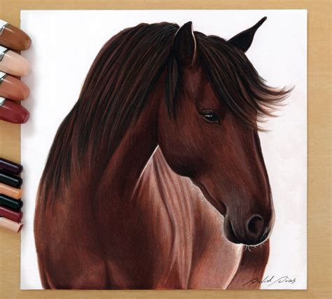 Realistic Horse Sketches