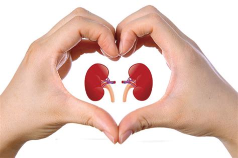 Chronic Kidney Disease - Diagnosis, Treatment and Prevention