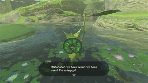 What you get for finding all Korok seeds in Zelda: Breath of the Wild