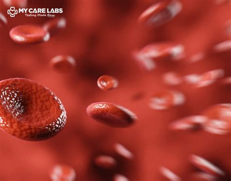 MCHC Blood Test: Low, High and Normal range