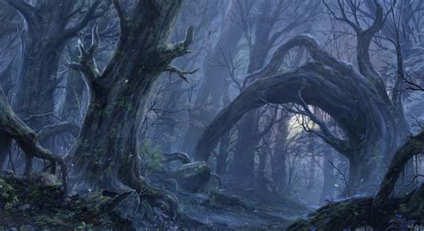 Dark forest | Fantasy forest, Forest wallpaper, Forest art