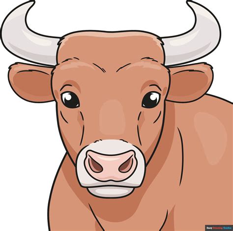 How to Draw a Bull Head and Face - Really Easy Drawing Tutorial