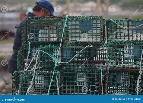 Fishing net traps stock photo. Image of river, guadiana - 87482462