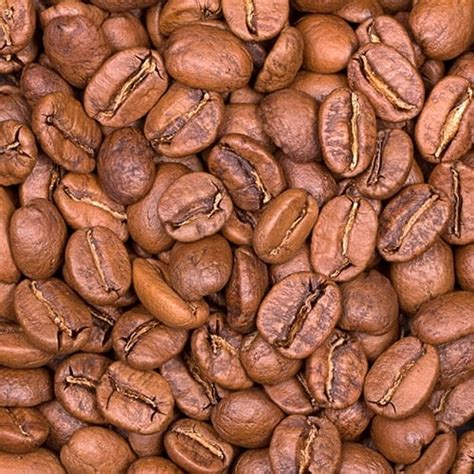Types of Coffee Roasts: Flavor, Brew Temperature & More