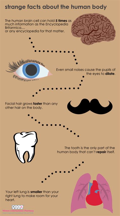 Strange Facts About the Human Body #Infographic #HumanBody #BodyFacts ...