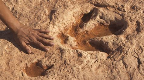 Dinosaur Footprints