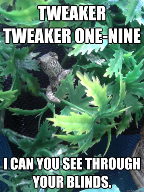 Tweaker tweaker one-nine I can you see through your blinds. - Excited ...