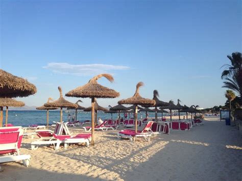 Alcudia beach - Picture of Platja d'Or, Port d'Alcudia - Tripadvisor