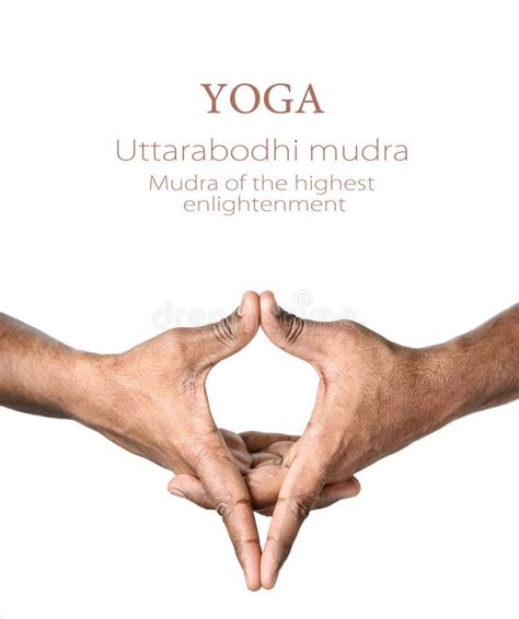 Yoga Uttarabodhi mudra. Hands in Uttarabodhi mudra by Indian man ...