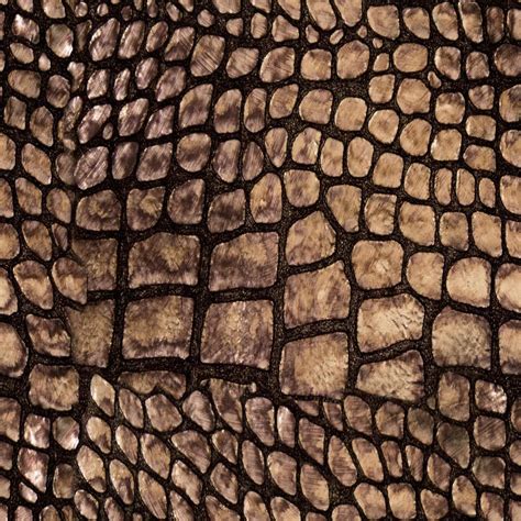 Alligator Skin Seamless Texture