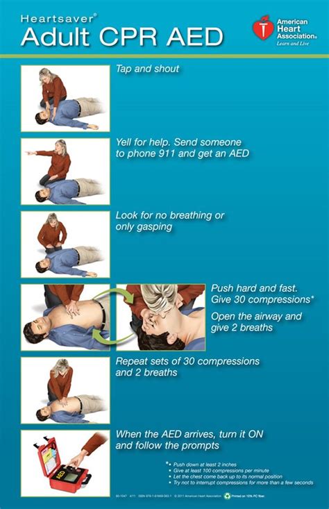 Pin on How to perform cpr