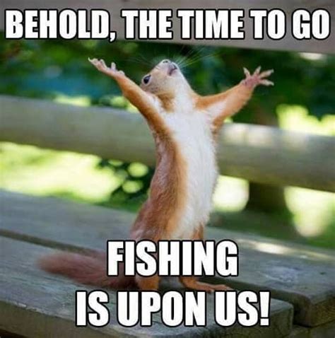 30 Funny Fishing Memes for Guaranteed Giggle – SheIdeas in 2020 | Fishing memes, Bass fishing tips