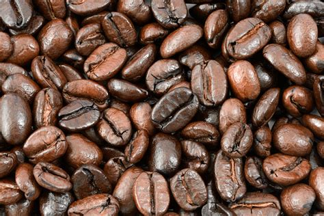 Basic Black Coffee Beans