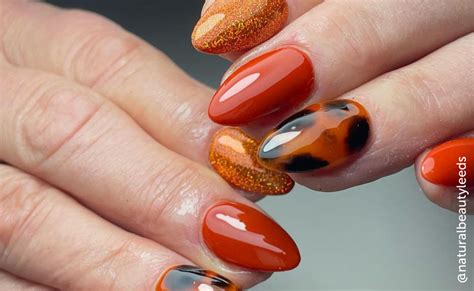 Fall 2024 Nail Salon Packages In Buffalo - Cara Benedetta