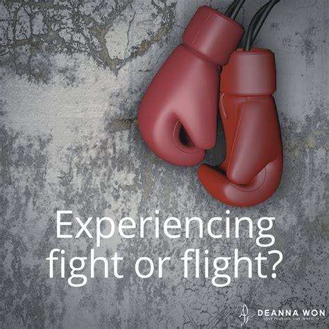 Experiencing Fight or Flight? | Keynotes to Life | Love Your Life, Live In Health