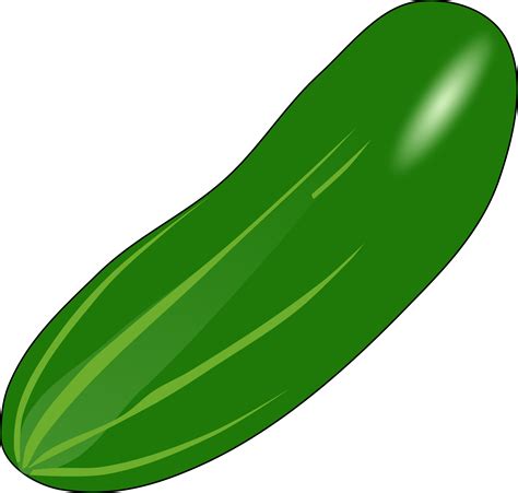 Cucumber Clipart - Taka Vegetable