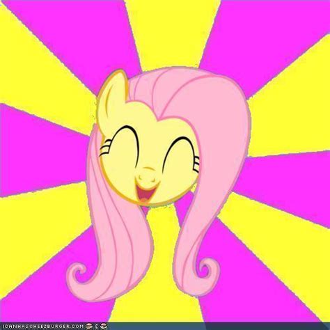 Fluttershy meme template by snakeman1992 on DeviantArt