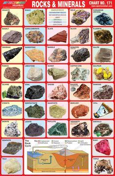 Rocks And Minerals Collection | Rocks and minerals, Minerals, Rock ...