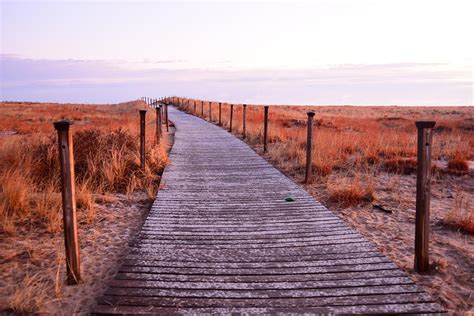 Scusset Beach Photograph by Catherine Reusch Daley - Fine Art America