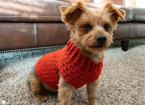 Printable Dog Sweater Patterns - Printable World Holiday