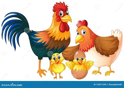 Isolated Chicken Family on White Background Stock Vector - Illustration of hatching, background ...