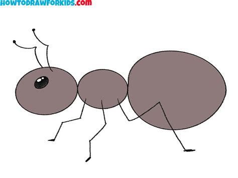 How to Draw an Ant - Easy Drawing Tutorial For Kids