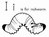 Letter I On Pinterest  Igloo Craft Leo Lionni And Insects sketch template