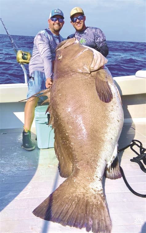 Big Catch Nets Record for Local Fishing Captain - Siesta Sand