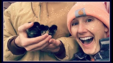 When Baby Chicks Fall From The Sky~ | Baby chicks, Falling from the sky, Chicks