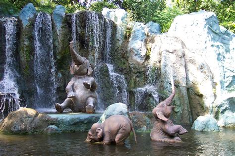 photos of elephants | Baby Elephants in Water Elephants Animals Wallpapers | Elephants photos ...