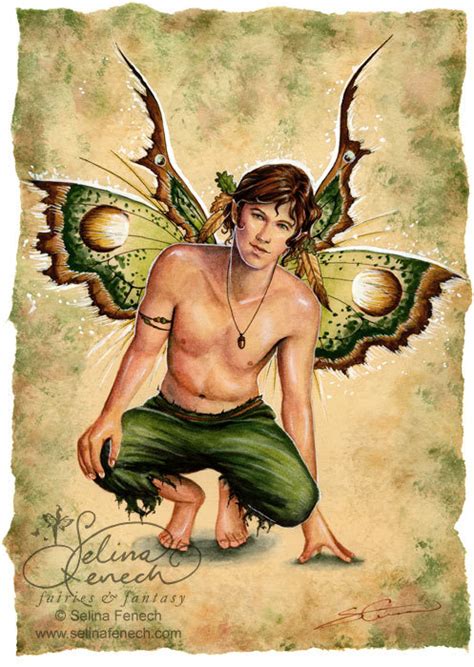 which male fairy looks handsome? Poll Results - Magical Creatures - Fanpop