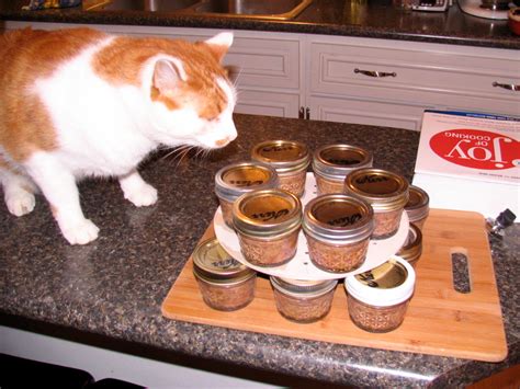 an orange and white cat sitting on top of a counter next to jars filled ...