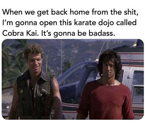 A Collection Of The Best & Funniest Cobra Kai Memes