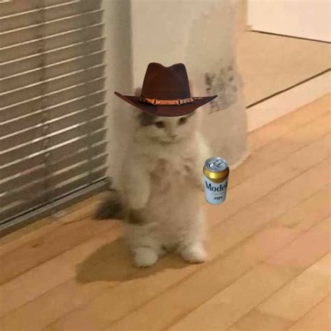 Mexican Cat with Sombrero and Drink