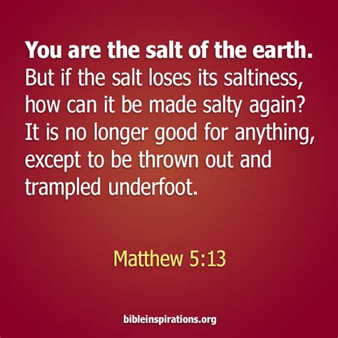 You Are the Salt of the Earth – Bible Inspirations