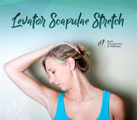 Levator Scapulae #Stretch 💪 In a sitting position, slowly and with ease, gently pulling your hea ...