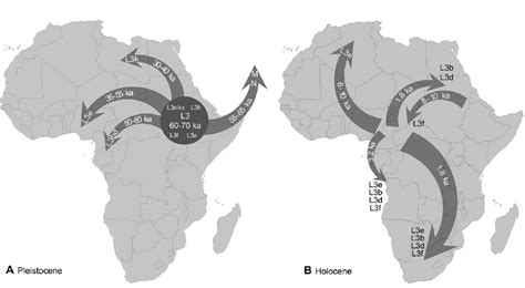 Africa, the cradle of humanity and Maternal Haplogroup L