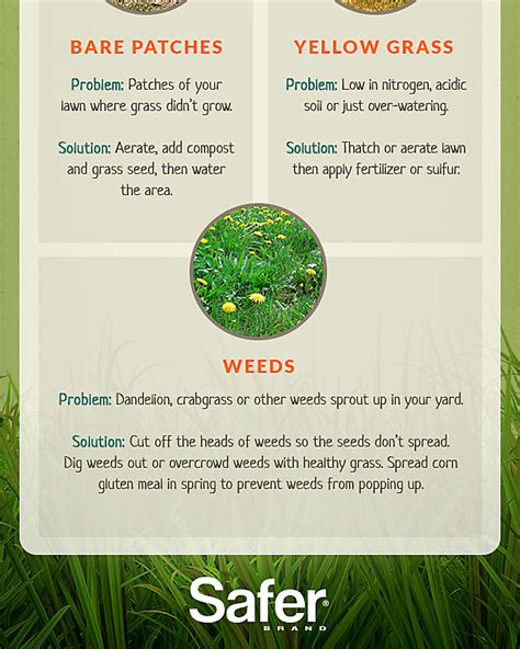 Do-It-Yourself Organic Lawn Care