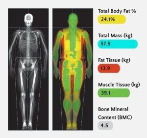 Body Composition Scans | Mayo Medical Centre