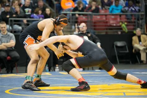 Photos: WIAA State Wrestling Tournament Finals | Greendale, WI Patch