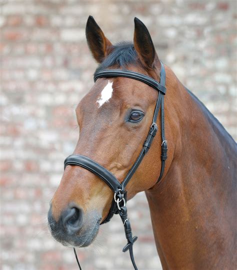 Waldhausen bitless uzda - Konjeniška trgovina UNIHORSE, Ljubljana