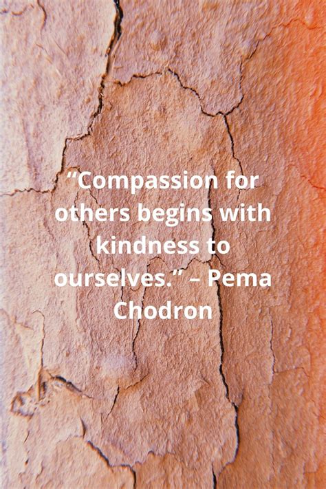 50 Best Compassion Quotes And Sayings