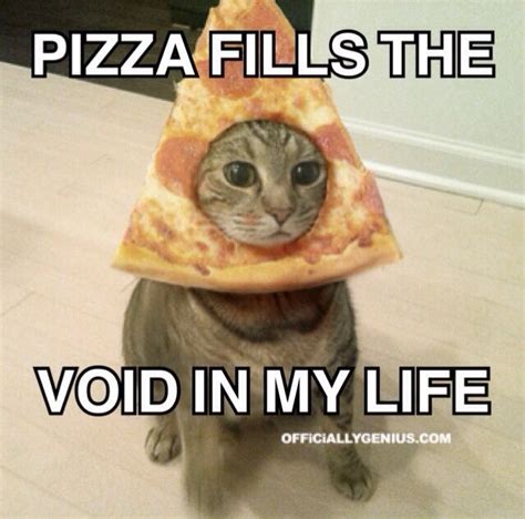 Pizzacat fills voids in pizza : r/memes