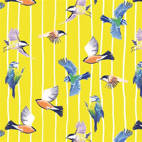 Birds in flight - Caspar