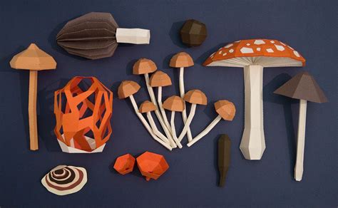 Pin on Fungi, plants, animals & insects