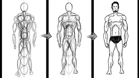 How to draw a basic Human Figure Using Circles Only - Photoshop - Easy Anatomy Drawing Tutorial ...