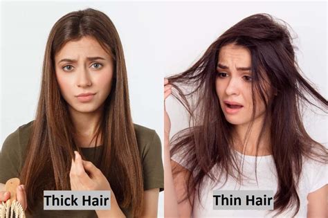 Thick Hair Vs. Thin Hair: What Are the Differences? – HairstyleCamp